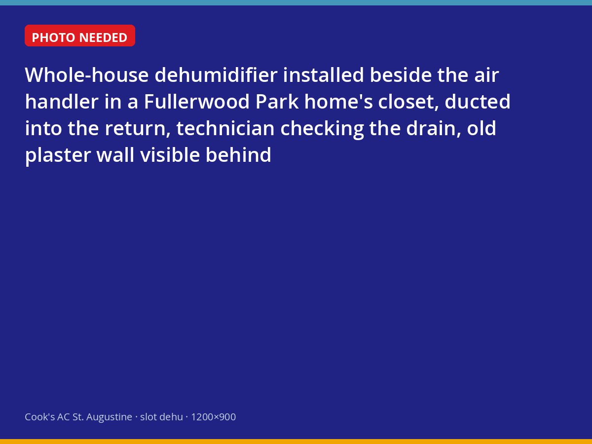 Whole-house dehumidifier ducted into the air handler in a historic St. Augustine home